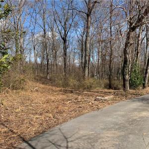 Photo #37 of King, King, NC 17.5 acres