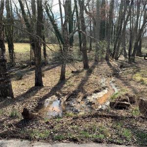 Photo #35 of King, King, NC 17.5 acres