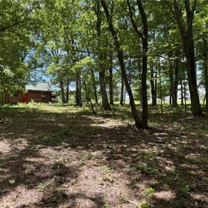 Photo #17 of King, King, NC 17.5 acres