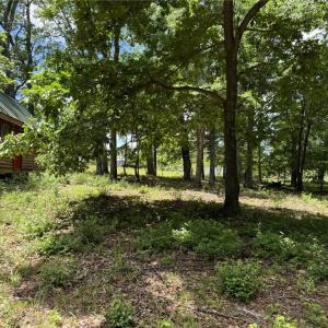 Photo #16 of King, King, NC 17.5 acres