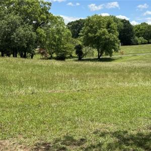 Photo #12 of King, King, NC 17.5 acres