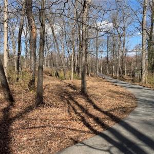 Photo #39 of King, King, NC 17.5 acres