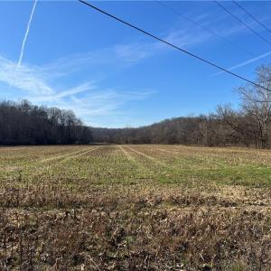 Photo #2 of River Ridge, Pfafftown, NC 20.7 acres