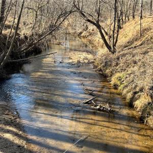 Photo #3 of River Ridge, Pfafftown, NC 20.7 acres