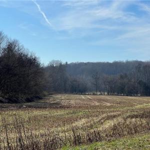 Photo #4 of River Ridge, Pfafftown, NC 20.7 acres