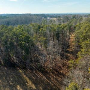 Photo #27 of NC Highway 268, Pilot Mountain, NC 11.9 acres