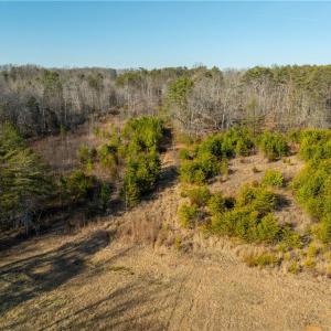 Photo #13 of NC Highway 268, Pilot Mountain, NC 11.9 acres