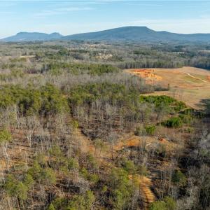 Photo #22 of NC Highway 268, Pilot Mountain, NC 11.9 acres