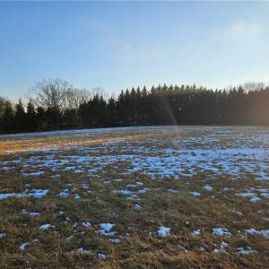 Photo #2 of Volunteer, Pinnacle, NC 1.0 acres