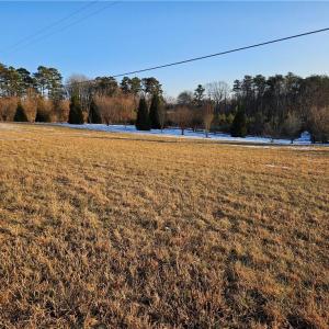 Photo #5 of Volunteer, Pinnacle, NC 1.0 acres