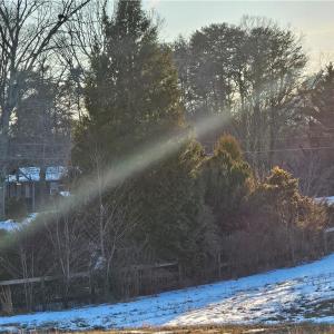 Photo #6 of Volunteer, Pinnacle, NC 1.8 acres