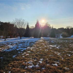 Photo #3 of Volunteer, Pinnacle, NC 1.8 acres