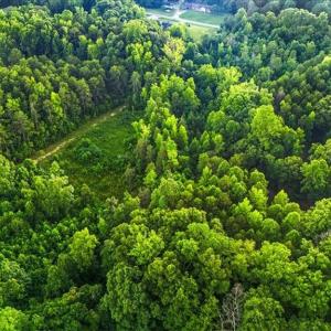 Photo #6 of Weavil, Winston-Salem, NC 9.2 acres