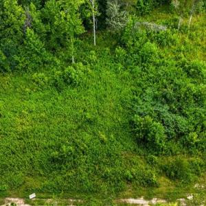 Photo #16 of Weavil, Winston-Salem, NC 9.2 acres