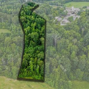 Photo #10 of Weavil, Winston-Salem, NC 9.2 acres