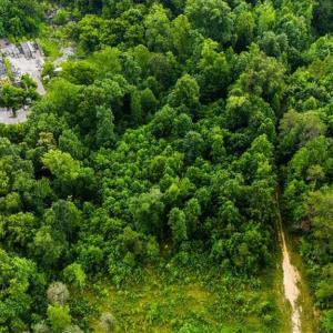 Photo #15 of Weavil, Winston-Salem, NC 9.2 acres