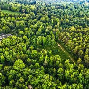 Photo #4 of Weavil, Winston-Salem, NC 9.2 acres