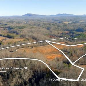 Photo #6 of 4 Roby Fulk, Pinnacle, NC 10.4 acres