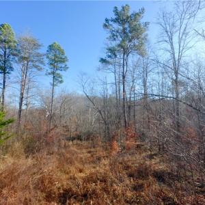 Photo #17 of 4 Roby Fulk, Pinnacle, NC 10.4 acres