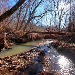 Photo #12 of 4 Roby Fulk, Pinnacle, NC 10.4 acres