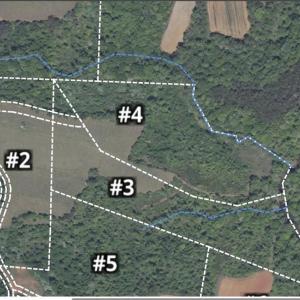 Photo #24 of 4 Roby Fulk, Pinnacle, NC 10.4 acres