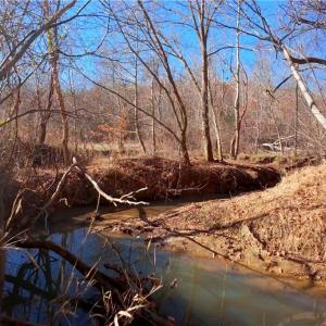 Photo #10 of 4 Roby Fulk, Pinnacle, NC 10.4 acres