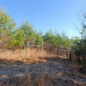 Photo #18 of 4 Roby Fulk, Pinnacle, NC 10.4 acres