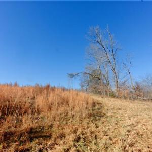 Photo #21 of 4 Roby Fulk, Pinnacle, NC 10.4 acres