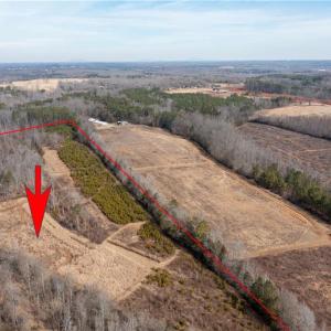 Photo #2 of Tennyson, Mocksville, NC 132.5 acres