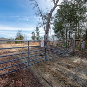 Photo #46 of Tennyson, Mocksville, NC 132.5 acres
