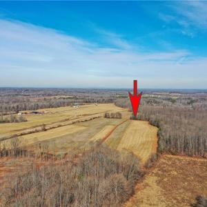 Photo #7 of Tennyson, Mocksville, NC 132.5 acres