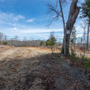 Photo #45 of Tennyson, Mocksville, NC 132.5 acres
