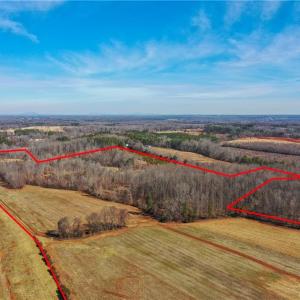 Photo #18 of Tennyson, Mocksville, NC 132.5 acres