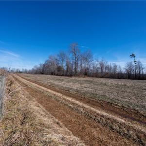 Photo #40 of Tennyson, Mocksville, NC 132.5 acres