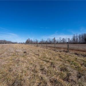Photo #39 of Tennyson, Mocksville, NC 132.5 acres
