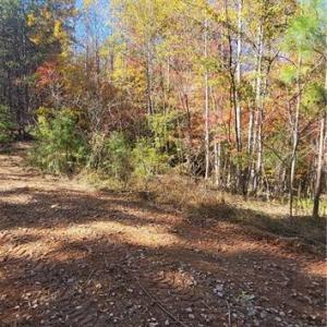 Photo #2 of 347 Wray, Stoneville, NC 40.1 acres