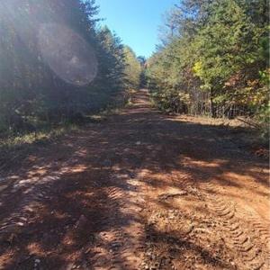 Photo #6 of 347 Wray, Stoneville, NC 40.1 acres
