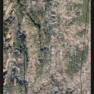 Aerial map w/ topography lines