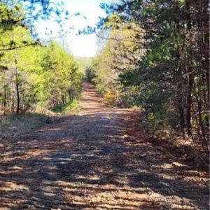 Photo #12 of 347 Wray, Stoneville, NC 40.1 acres