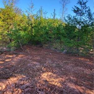 Photo #7 of 347 Wray, Stoneville, NC 40.1 acres