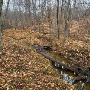 Photo #32 of 347 Wray, Stoneville, NC 40.1 acres