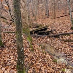 Photo #28 of 347 Wray, Stoneville, NC 40.1 acres