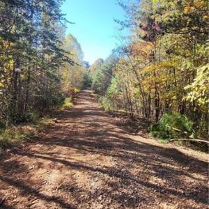 Photo #5 of 347 Wray, Stoneville, NC 40.1 acres