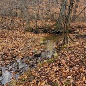 Photo #30 of 347 Wray, Stoneville, NC 40.1 acres