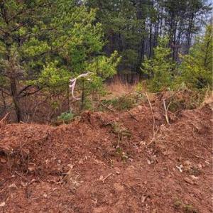 Photo #18 of 347 Wray, Stoneville, NC 40.1 acres