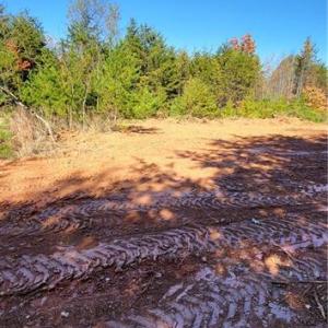 Photo #15 of 347 Wray, Stoneville, NC 40.1 acres