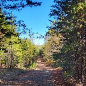 Photo #11 of 347 Wray, Stoneville, NC 40.1 acres