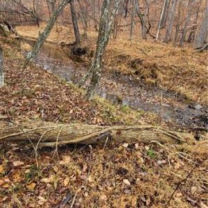 Photo #31 of 347 Wray, Stoneville, NC 40.1 acres