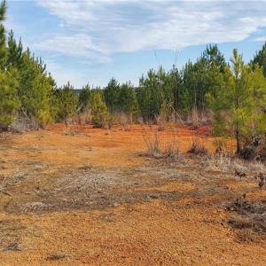 Photo #23 of 420 Tuckertown, New London, NC 142.5 acres