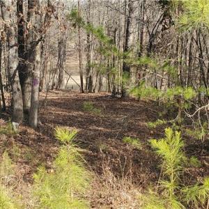 Photo #27 of 420 Tuckertown, New London, NC 142.5 acres